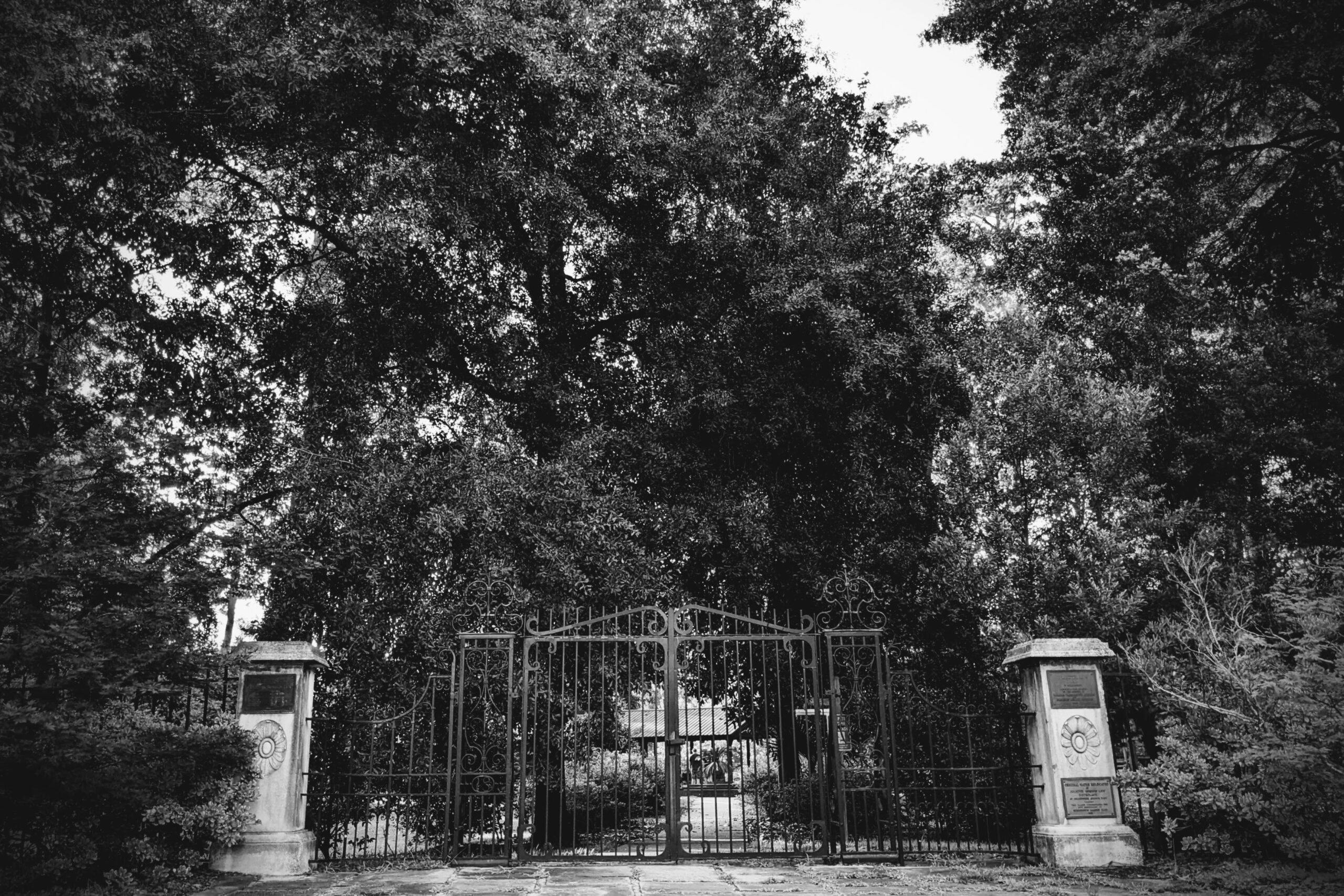 Hero Image Background: Gates of Gordonston